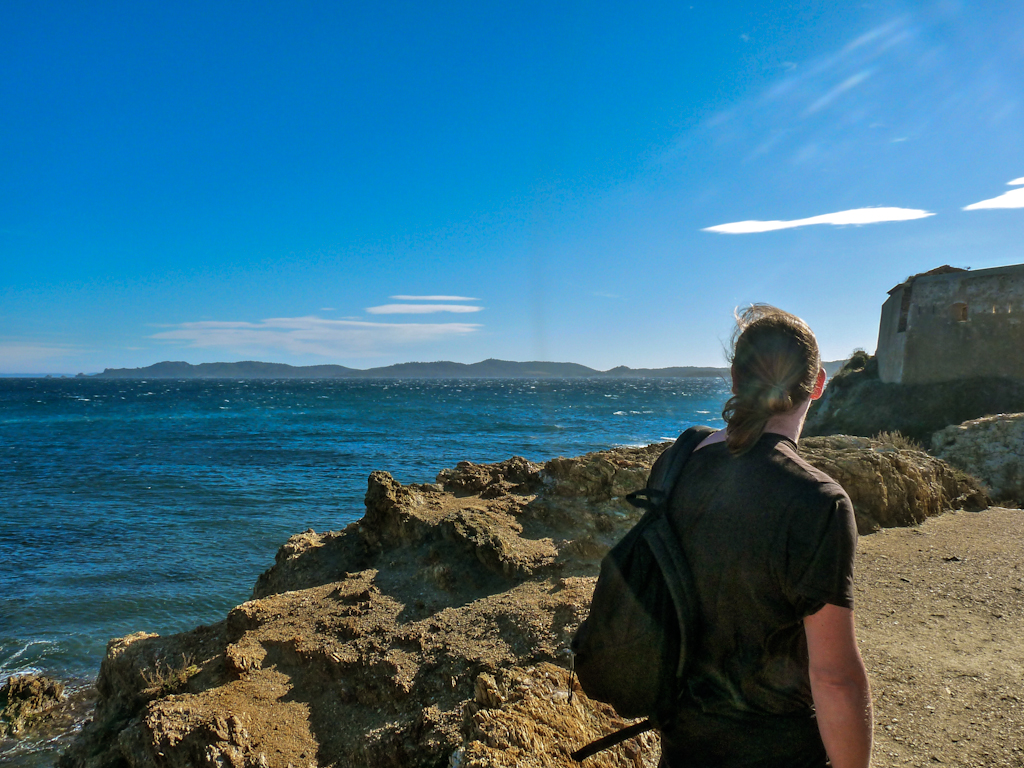 Im zoommber 12 novembre | 11h32