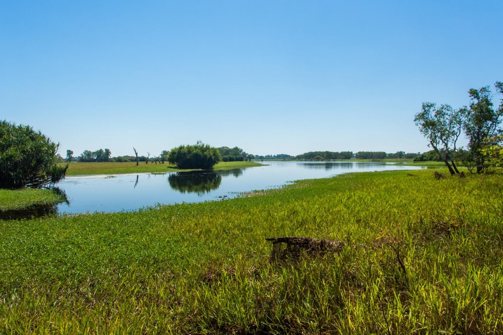 In zoom 23 juillet 2015 | 11h18