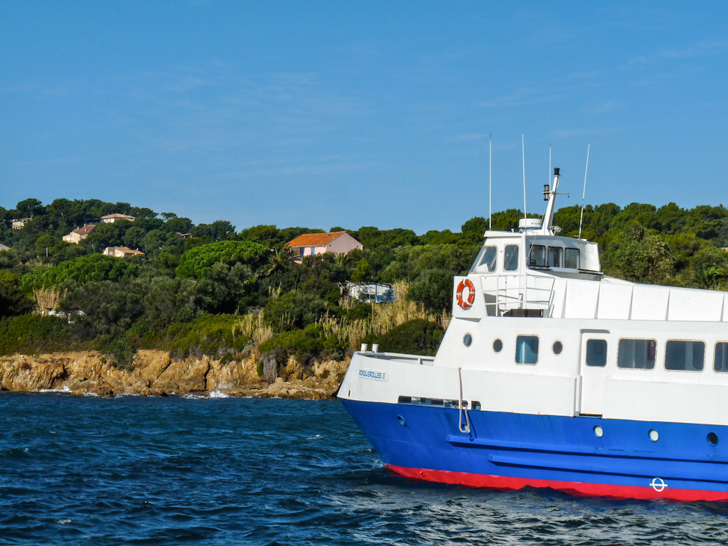 Im zoommber 12 novembre | 11h36