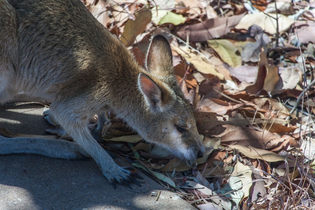 Im zoomtH42 5 août 2015 | 13h42