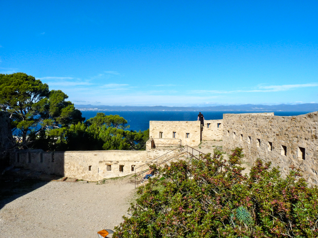 Im zoommber 12 novembre | 12h57