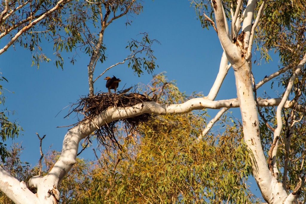 In zoomstus18 16 août | 10h18