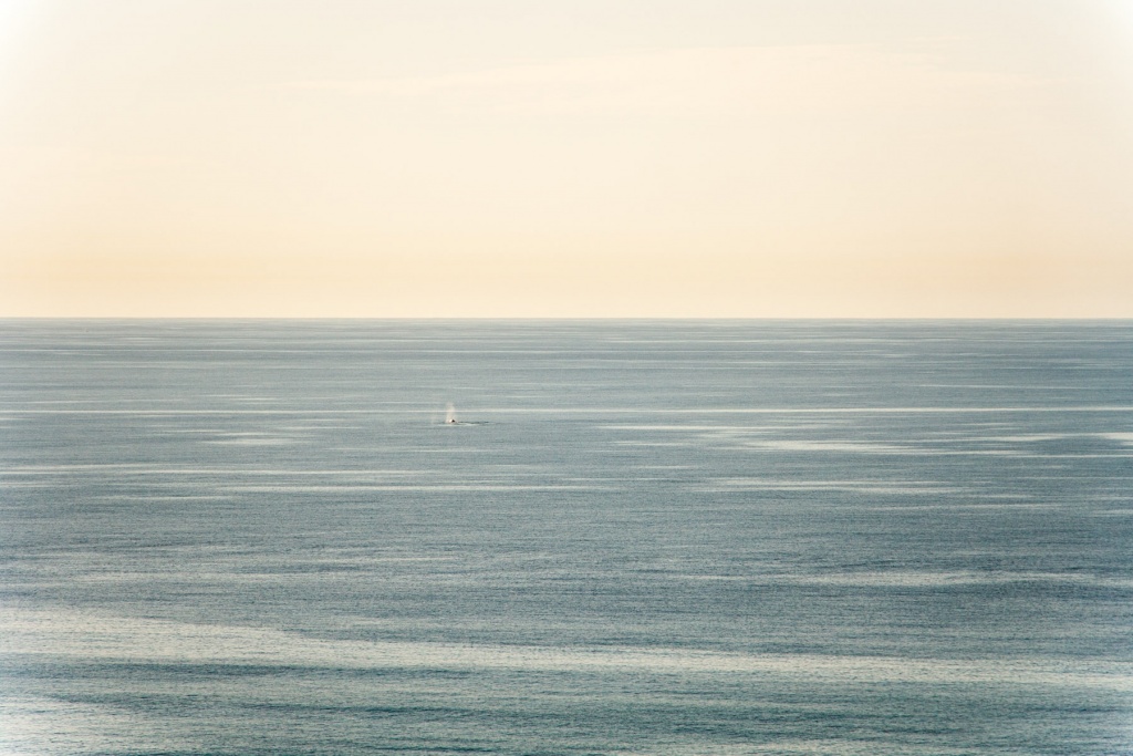 In zoomstus13 16 août | 18h13