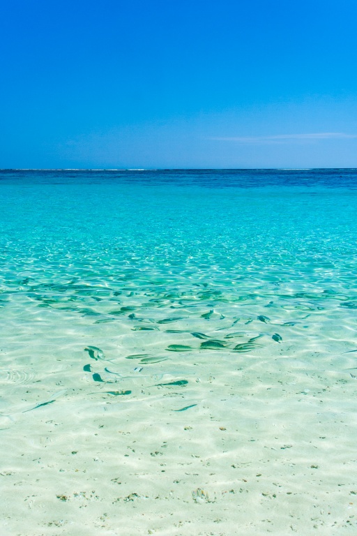 In zoomstus22 17 août | 14h22