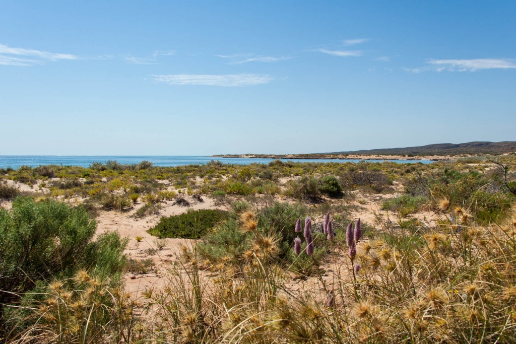 In zoomstus38 17 août | 14h38