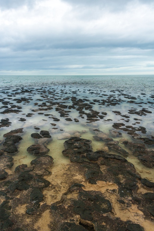 In zoomstus20 19 août | 13h20