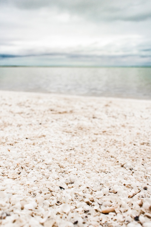 In zoomstus25 19 août | 14h25