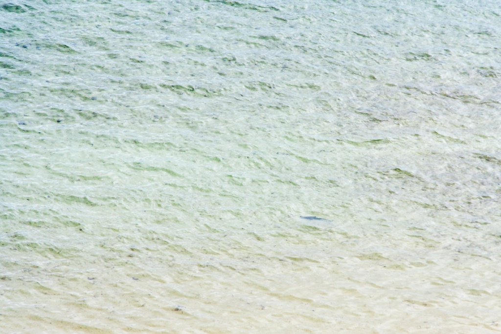 In zoomstus05 19 août | 15h05