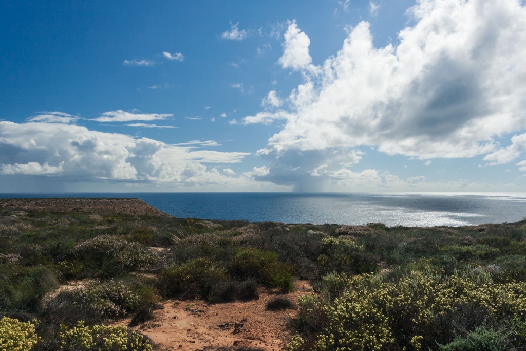 In zoomstus44 29 août | 14h44