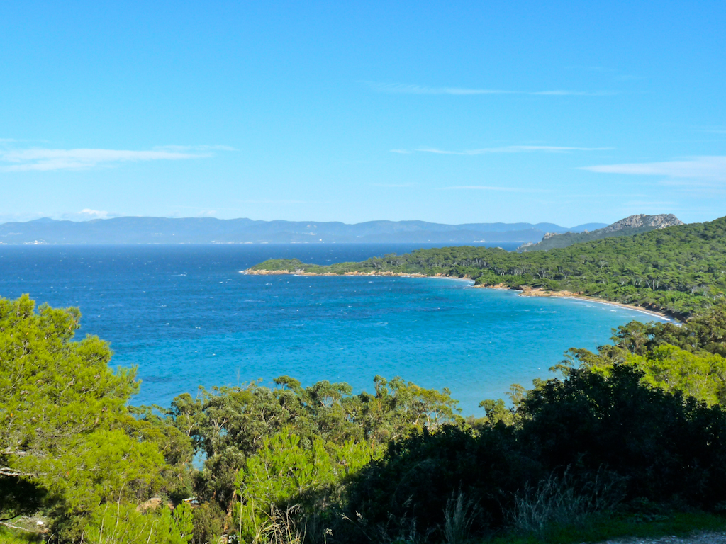 Im zoommber 12 novembre | 12h59