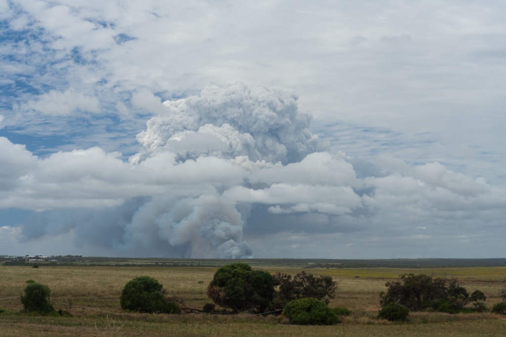 In zoomember 10 septembre | 12h00