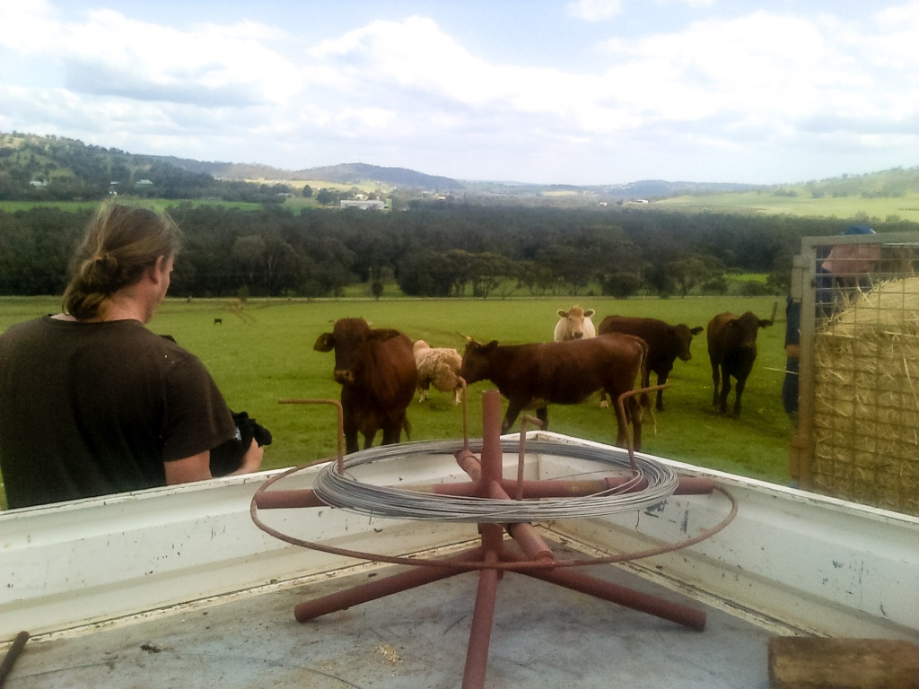 Zoom in 19 septembre | 14h39