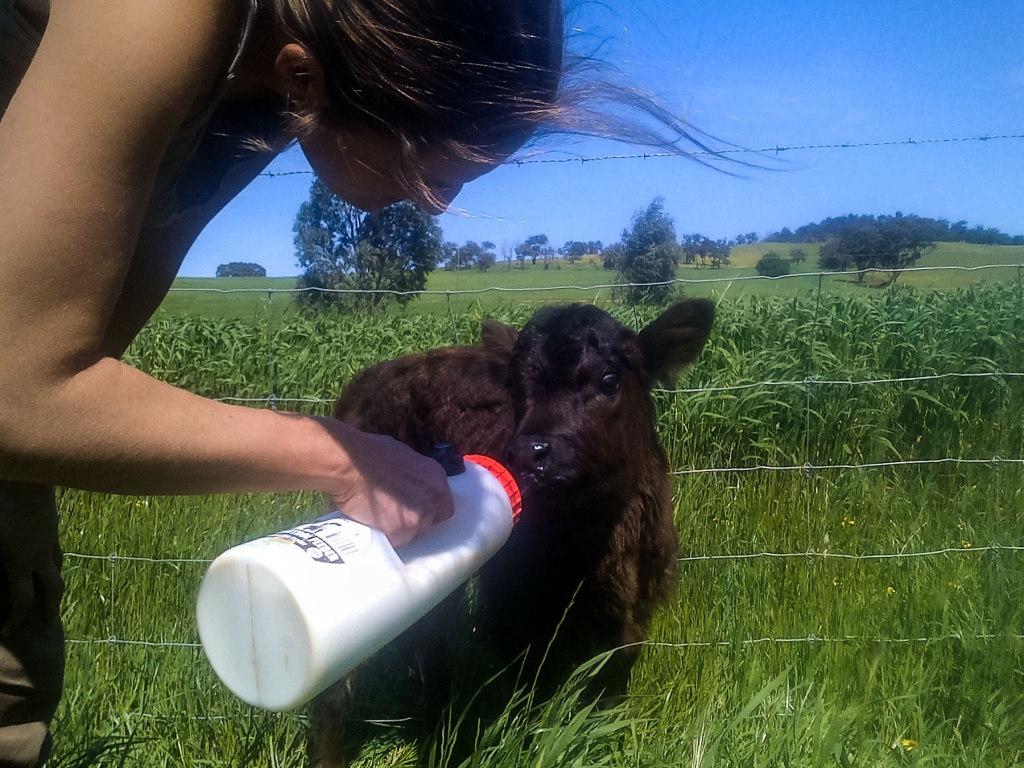 Zoom in 22 septembre | 12h58