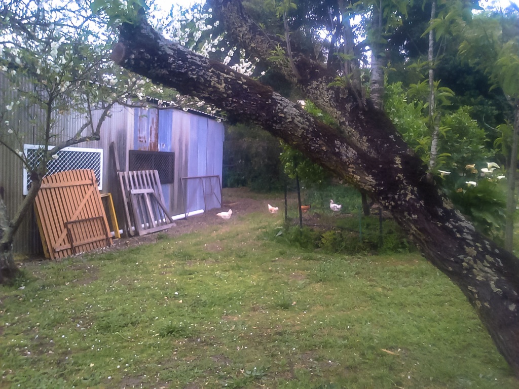 Ingrandirere0 2 octobre | 17h00