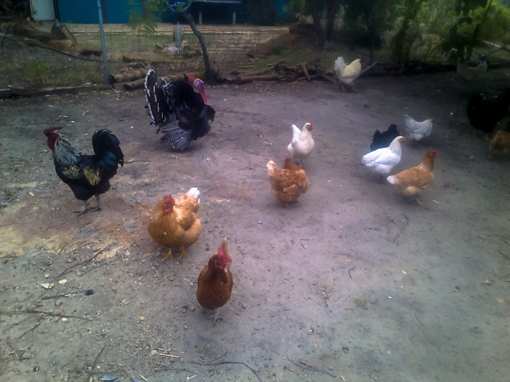 Ingrandirere7 2 octobre | 17h17