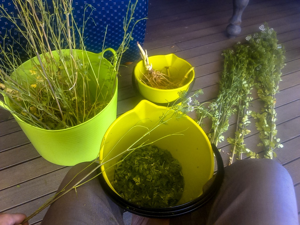 Ingrandirebre 11 octobre | 11h01