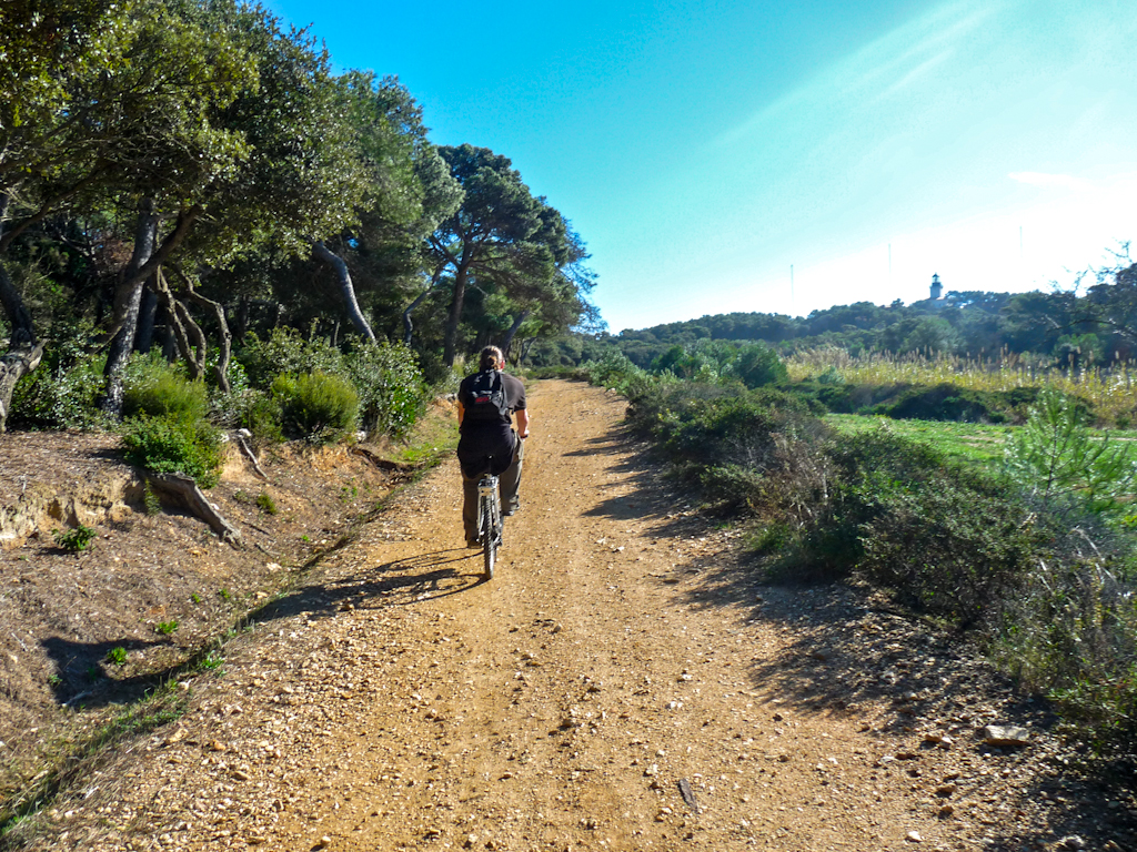 Im zoommber 12 novembre | 13h17