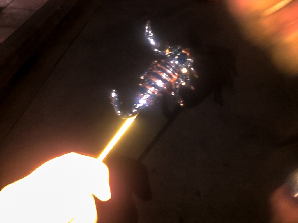 Zbliżeniepad 9 novembre | 18h32