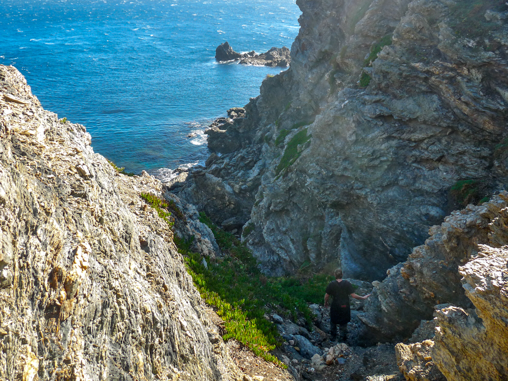 Im zoommber 12 novembre | 13h23