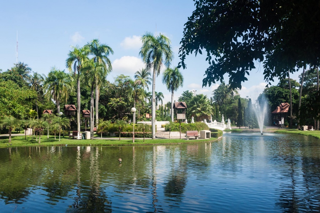 Zbliżenieopad 11 novembre | 13h53