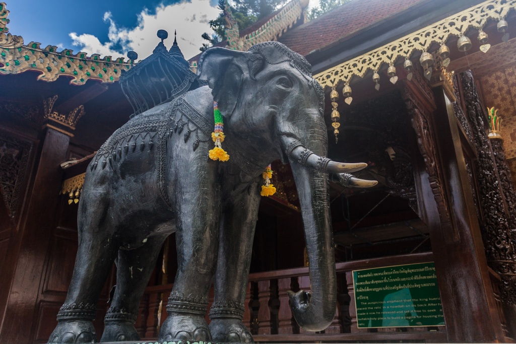 Zbliżenieopad 12 novembre | 12h52