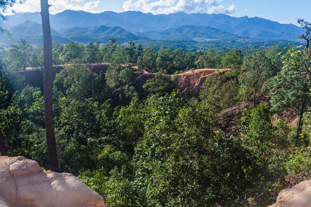 In zoommber 14 novembre | 16h09