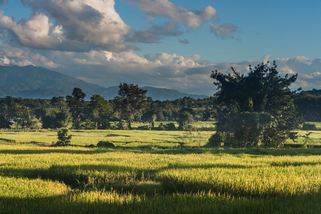 In zoommber 14 novembre | 16h58