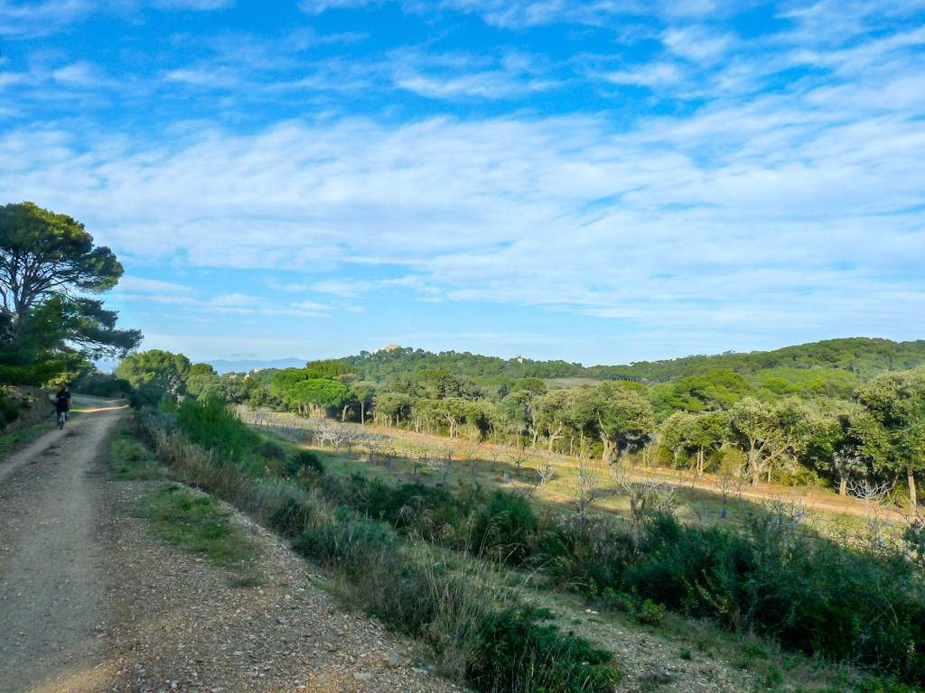 Im zoommber 12 novembre | 15h14