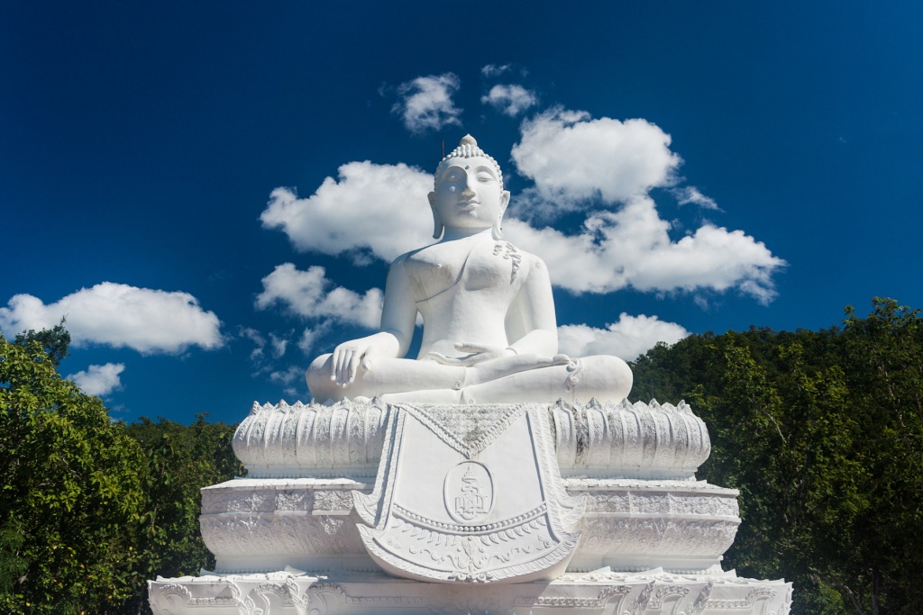 In zoommber 15 novembre | 13h08