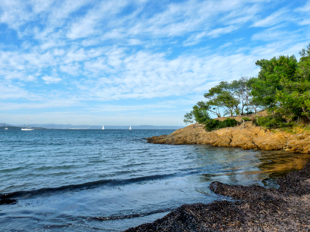 Im zoommber 12 novembre | 15h40