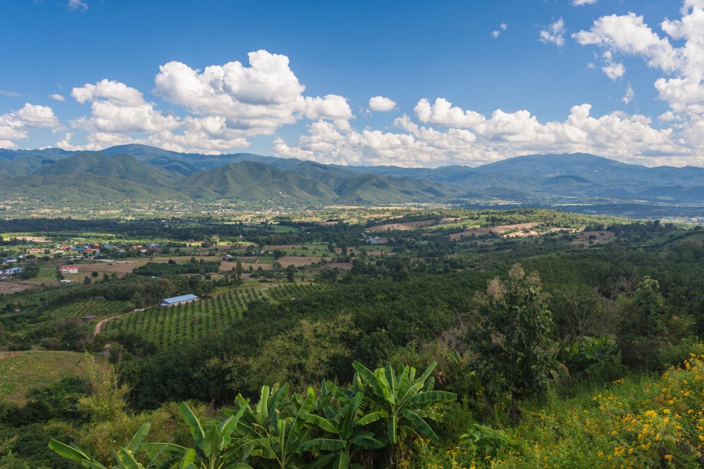 In zoommber 15 novembre | 14h05