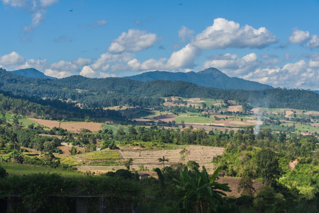 In zoommber 15 novembre | 14h12