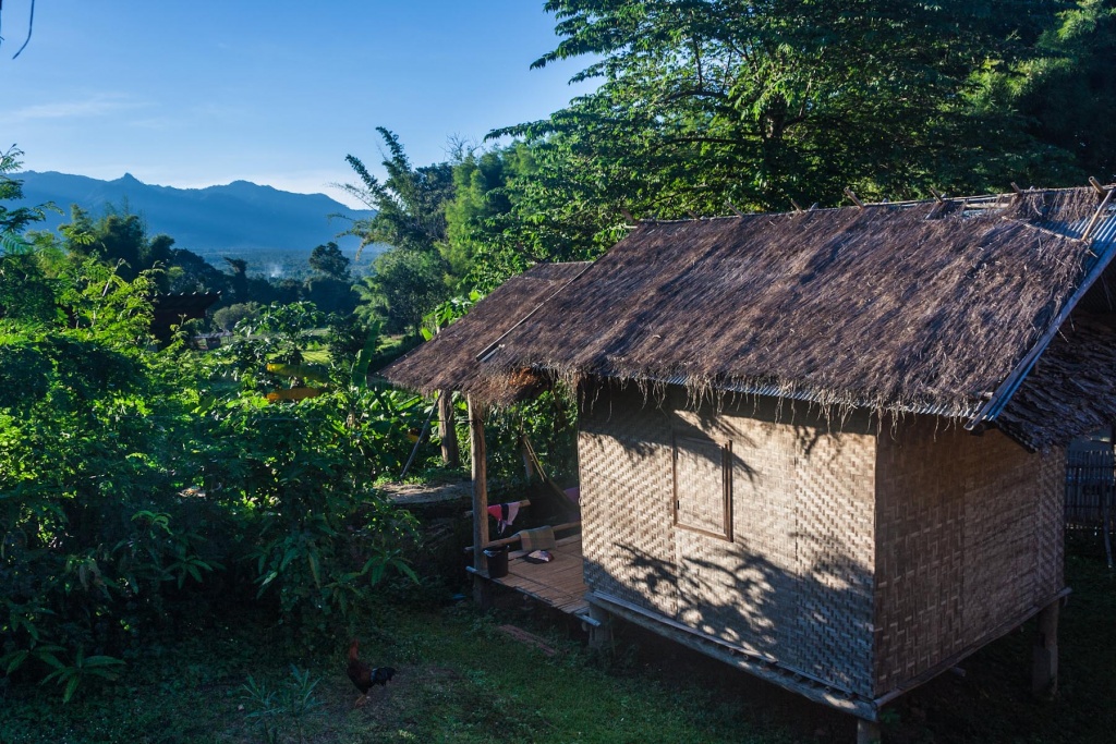 In zoommber 15 novembre | 16h49