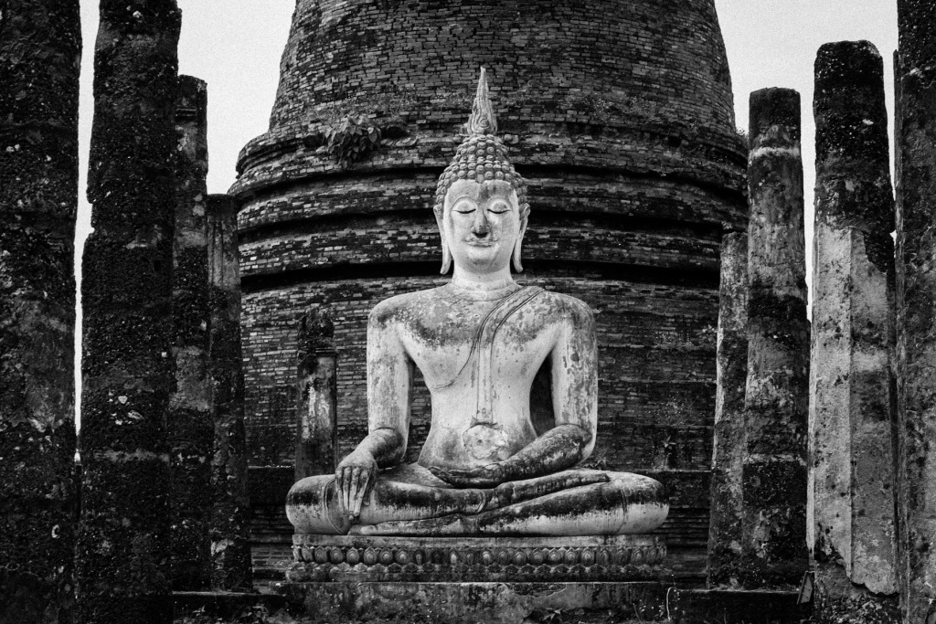 In zoommber 18 novembre | 12h18