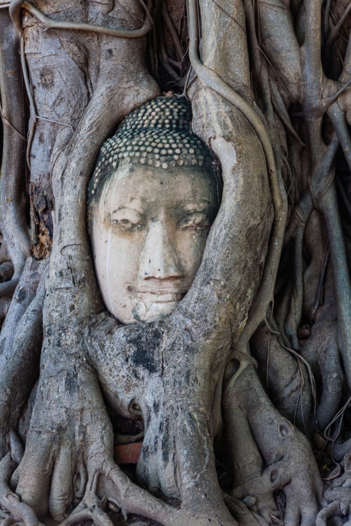 In zoommber 20 novembre | 9h55