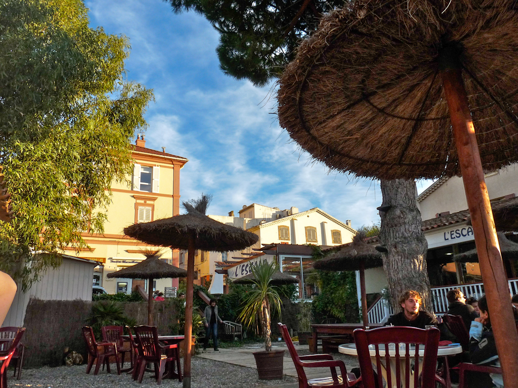 Im zoommber 12 novembre | 16h37