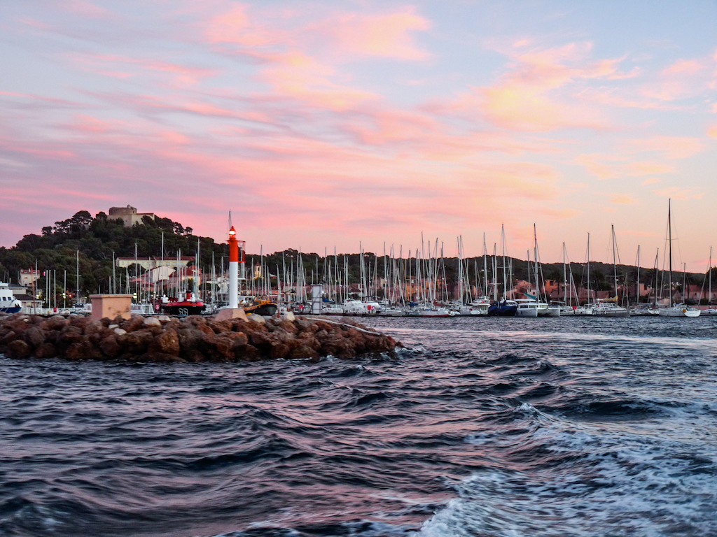 Im zoommber 12 novembre | 17h23