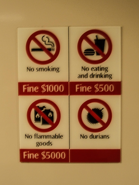 Ingrandirembre 27 novembre 2008 | 15h29