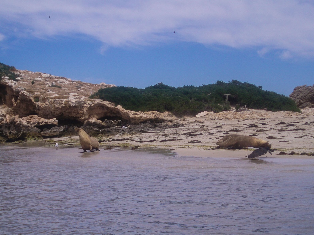 Zoom in 2 décembre 2008 | 11h38