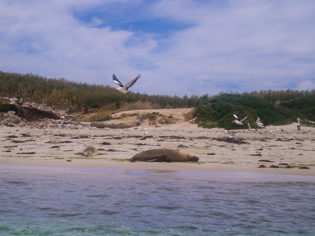 Zoom in 2 décembre 2008 | 11h39