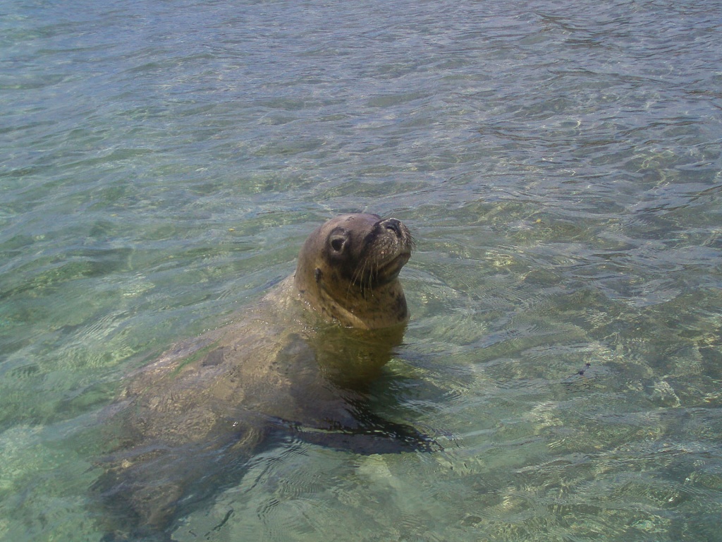 Zoom in 2 décembre 2008 | 11h42