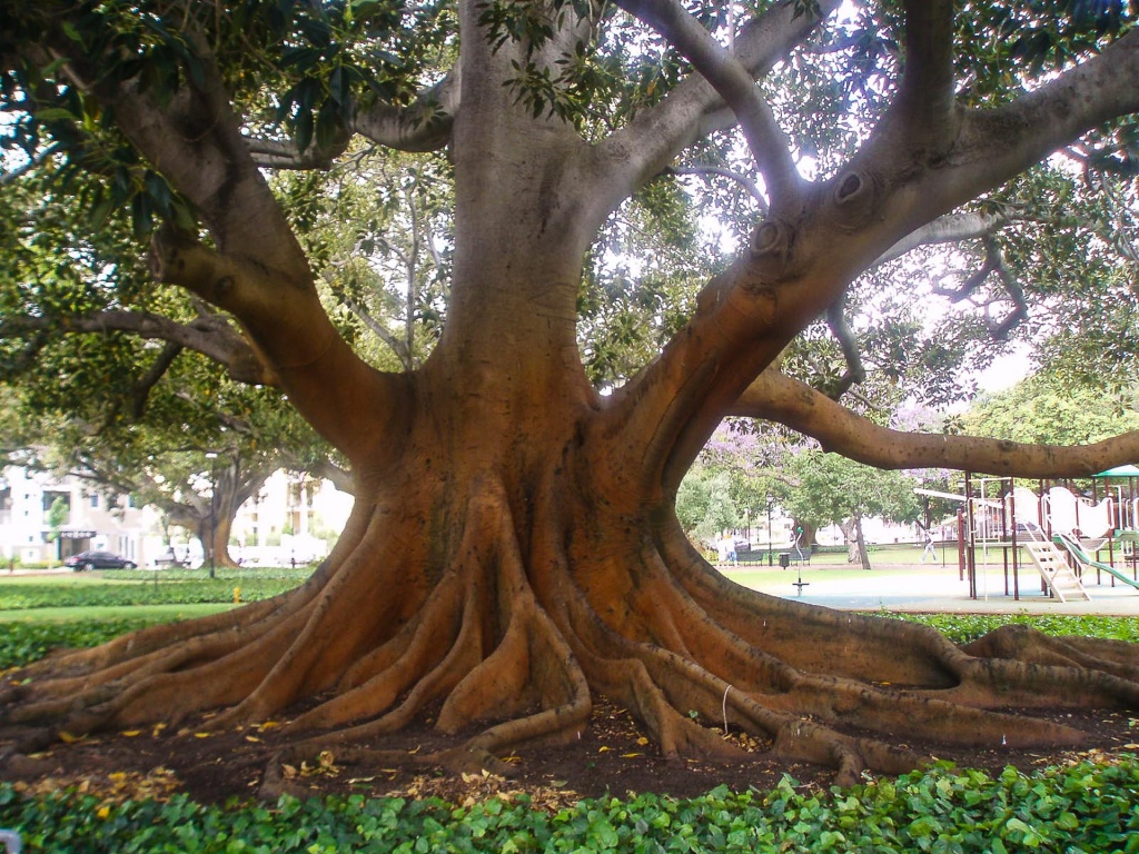 Ingrandirebre 2 décembre 2008 | 16h05
