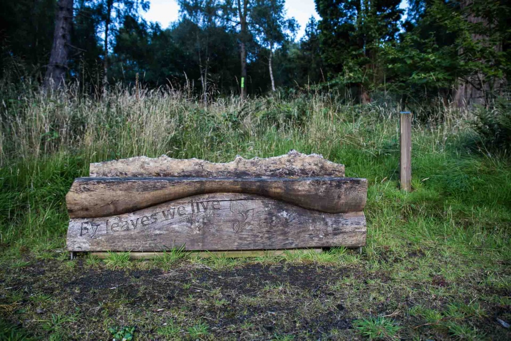 In zoomst17 17 août | 19h17