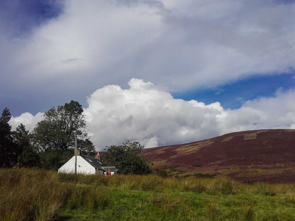 In zoomst30 19 août | 16h30