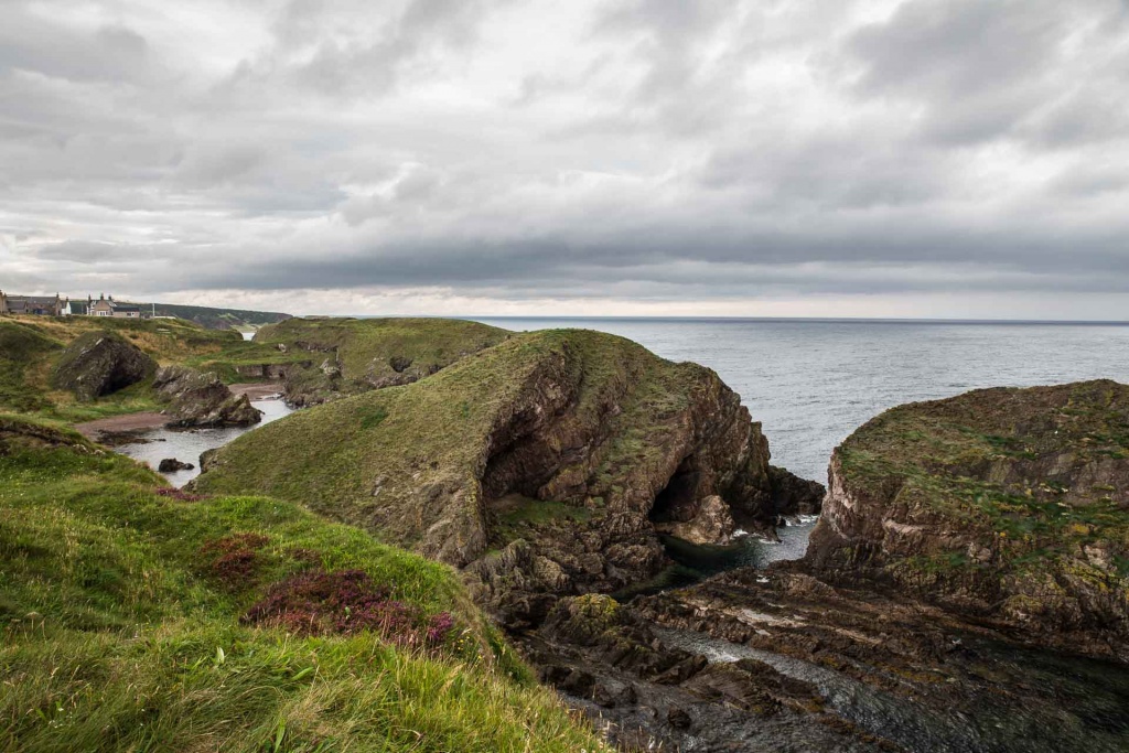 In zoom2.jpg IMG_0372.jpg