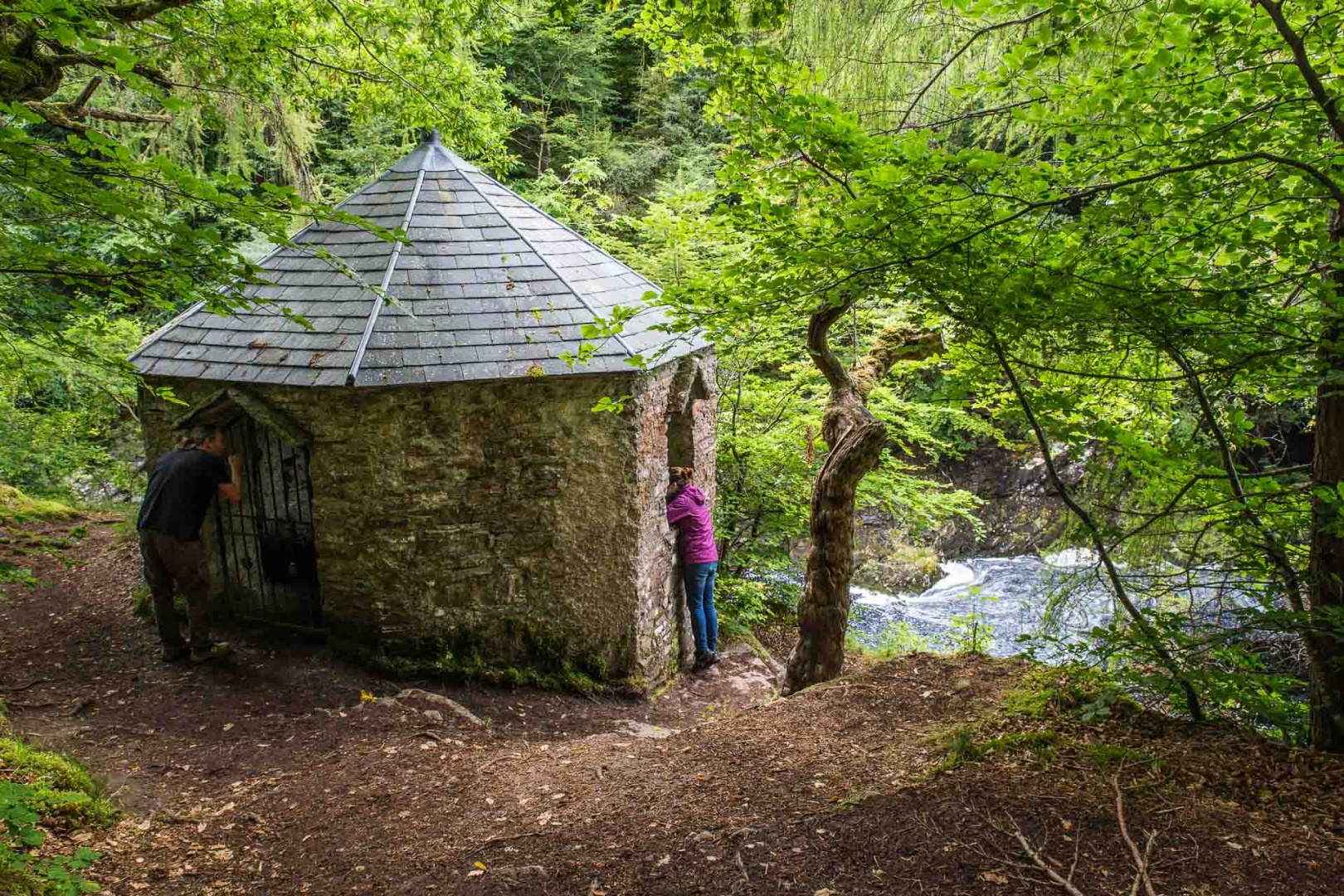 In zoomtembre 1er septembre | 14h17