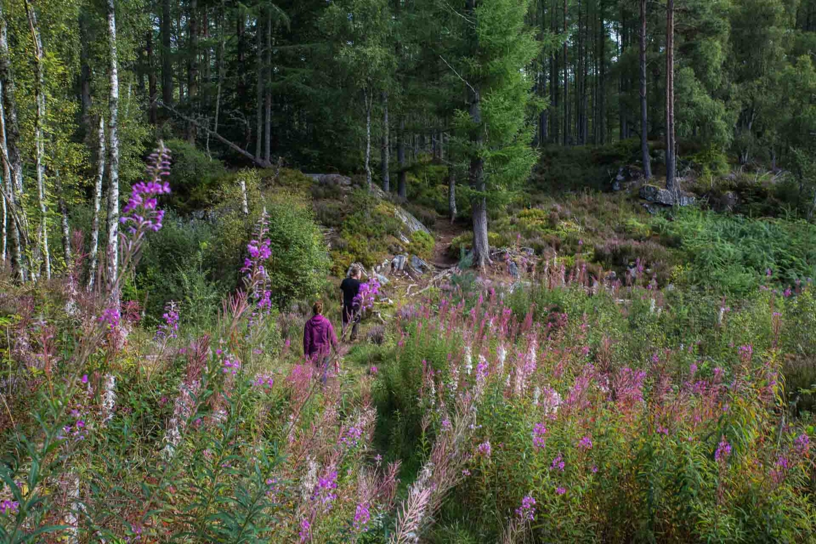 In zoommber 2 septembre | 11h39