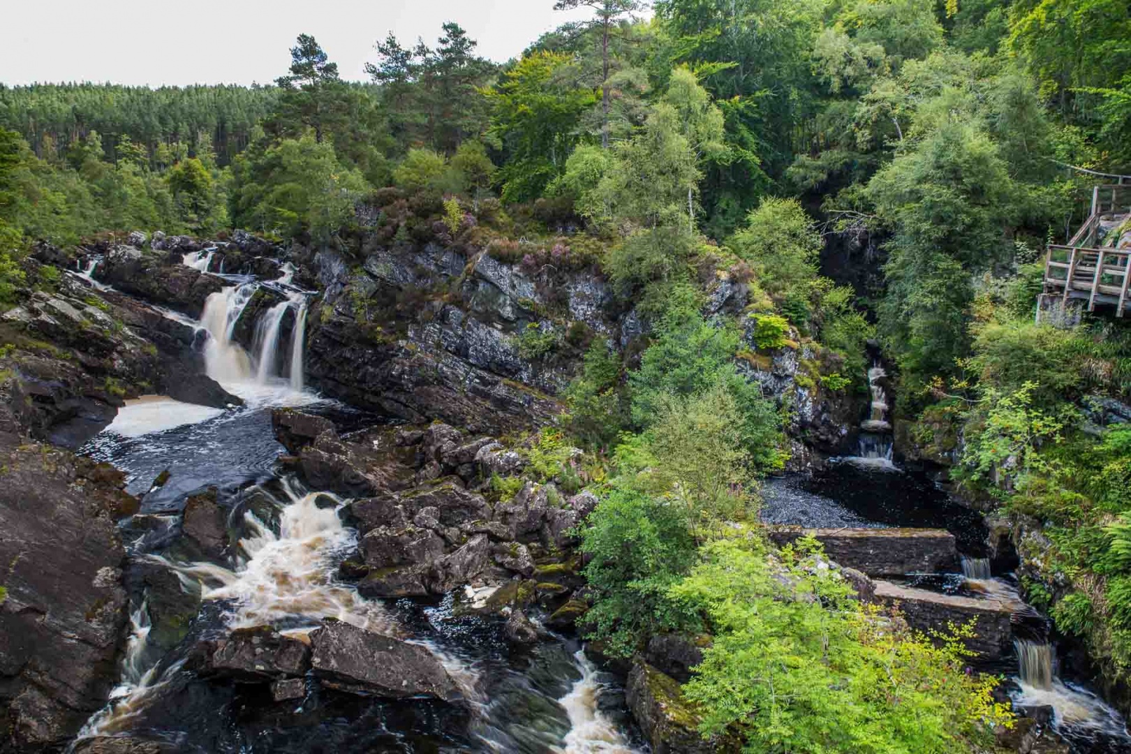 In zoommber 2 septembre | 12h01