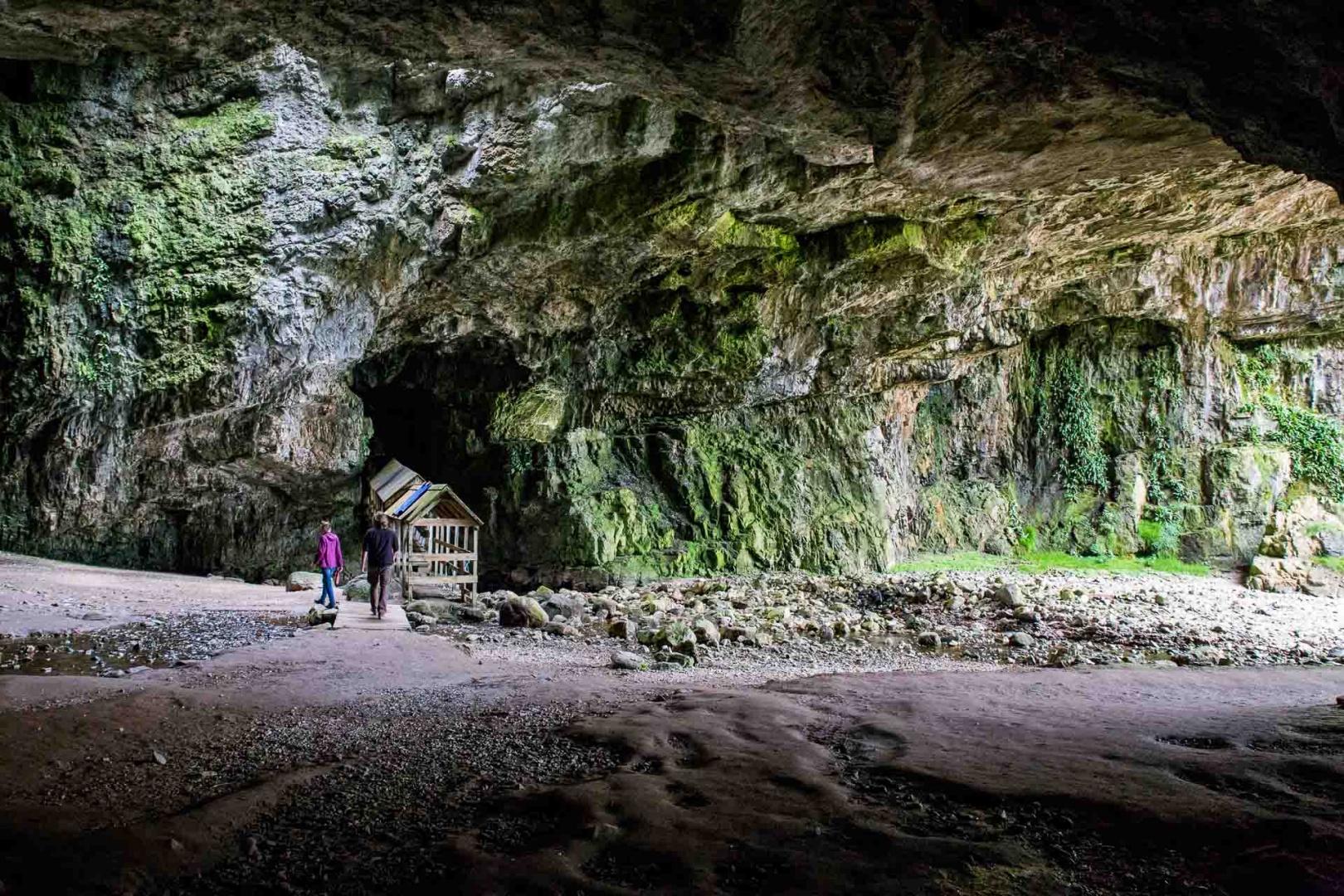 In zoommber 3 septembre | 16h29