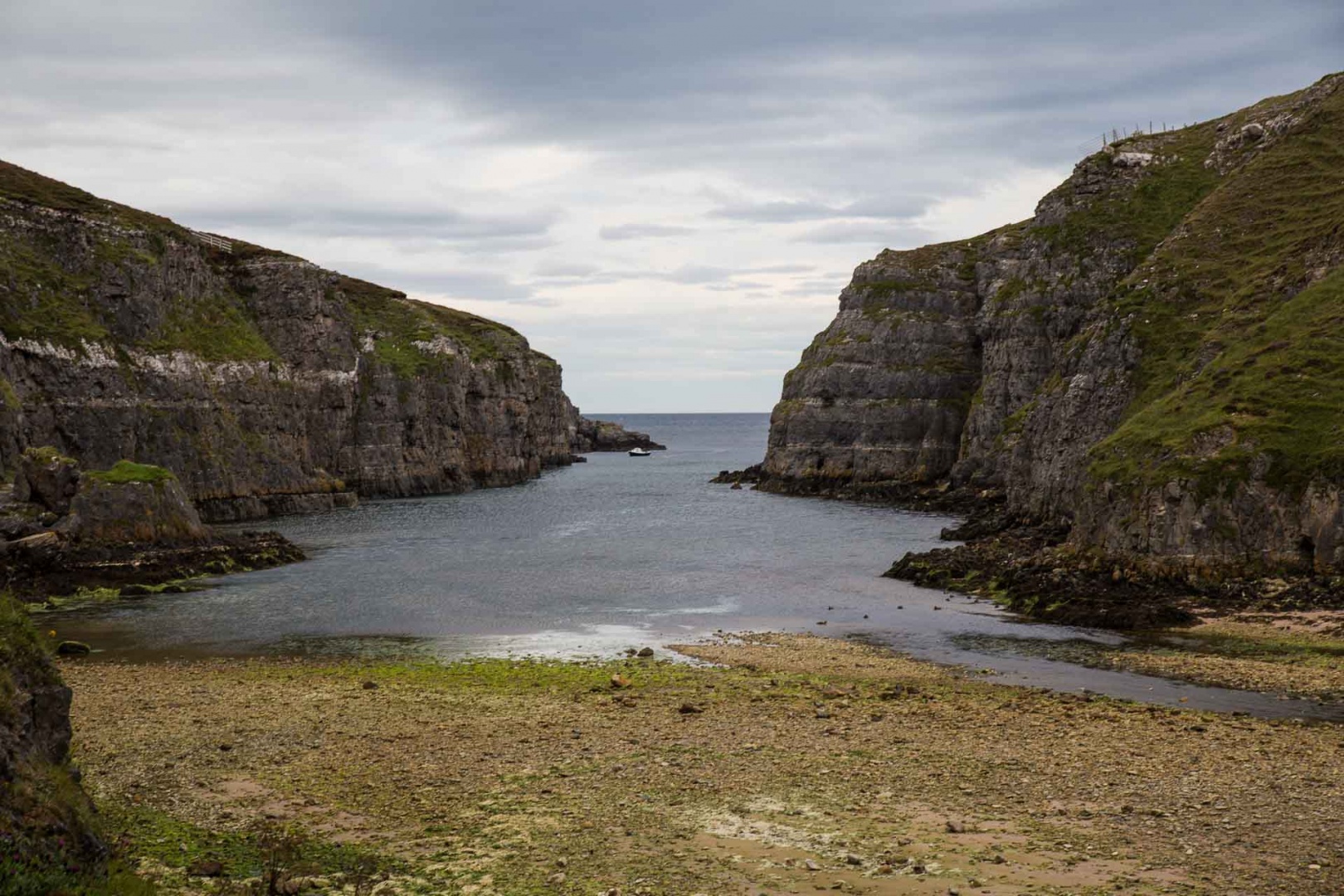 In zoommber 3 septembre | 16h41